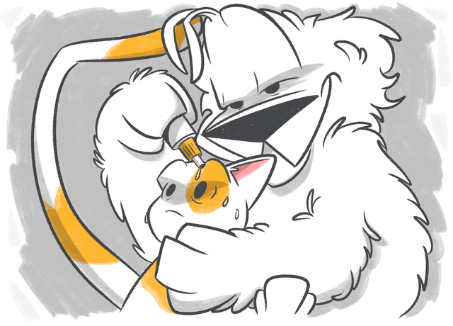 Cat Eye Infections and How to Treat Them