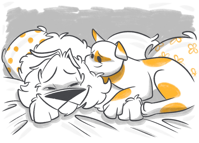 What is Chronic Hepatitis in Dogs?