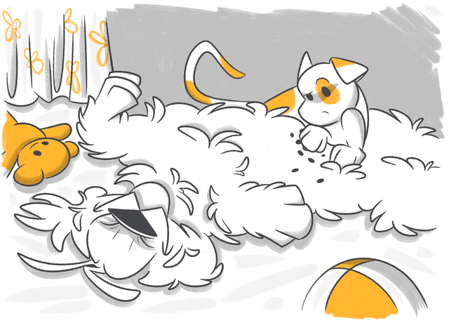 Hyperpigmentation in Dogs: Why Is My Dog Changing Color?