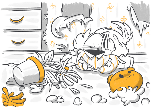 How To Leave Your Dog Home Alone