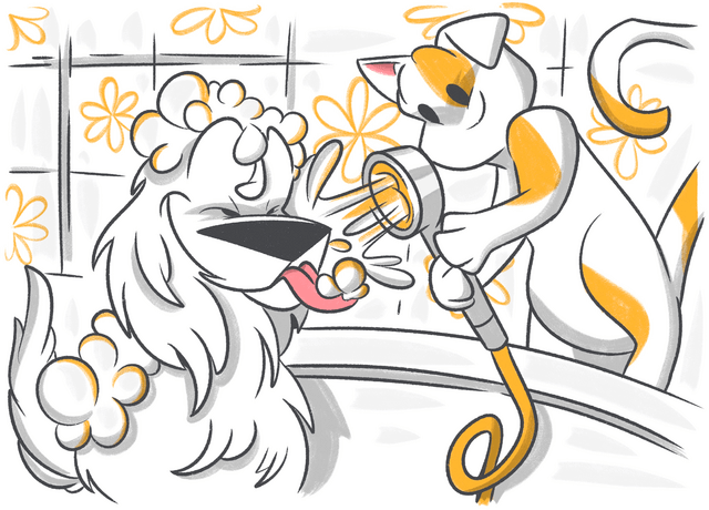 How To Get Rid Of Dandruff in Dogs?