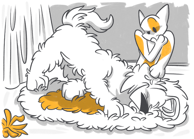 Why Do Dogs Rub Their Faces?