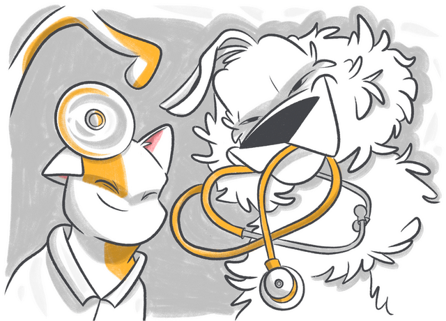 Petcube Emergency Fund vs. Geico Pet Insurance