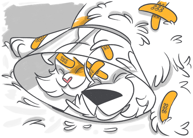 Can I Buy Pet Insurance for Multiple Pets?