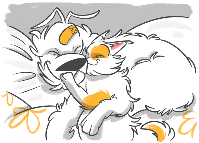 Pet Insurance for Dogs