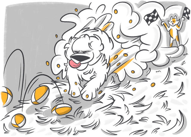 How Fast Can a Dog Run?