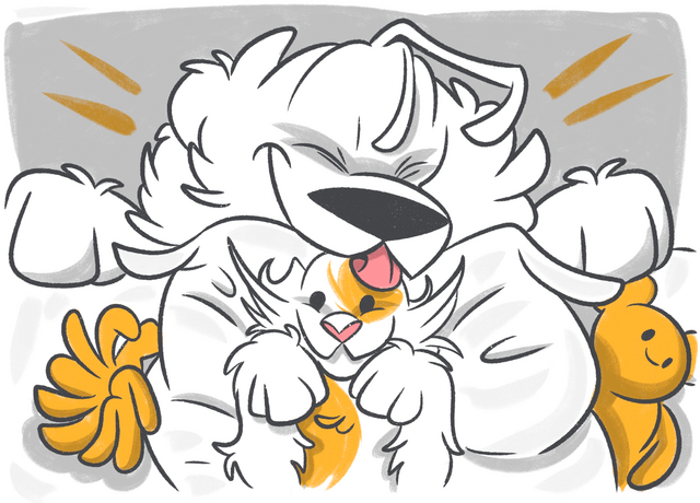 Can Dogs Sense Your Emotions? What Science Tells us