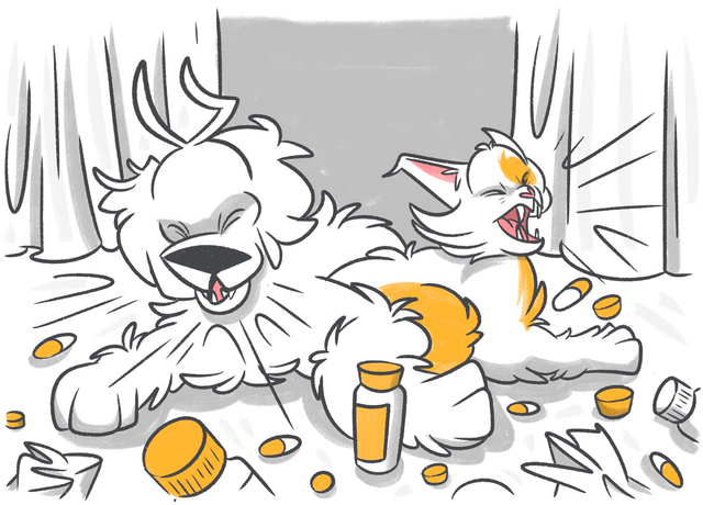 Could Your Dog and Cat Be Allergic to Each Other?