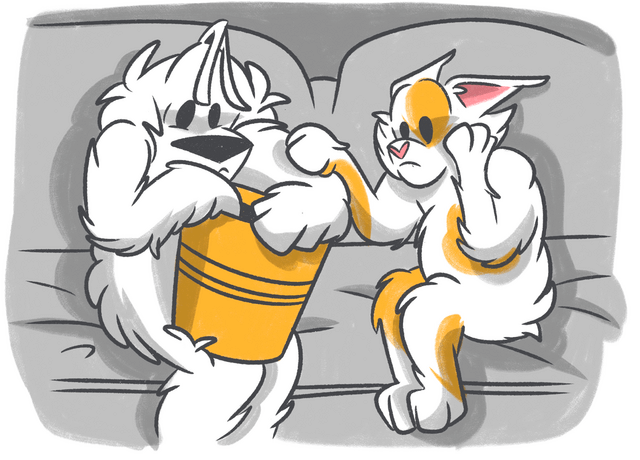 How to Make a Dog Throw Up? (In Case of Emergency)