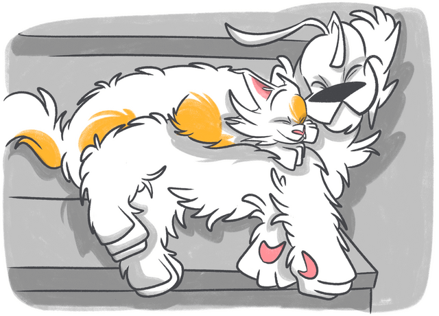 Is There Pet Insurance With No Waiting Period?