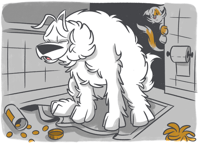 Managing Whipworm Infections in Dogs