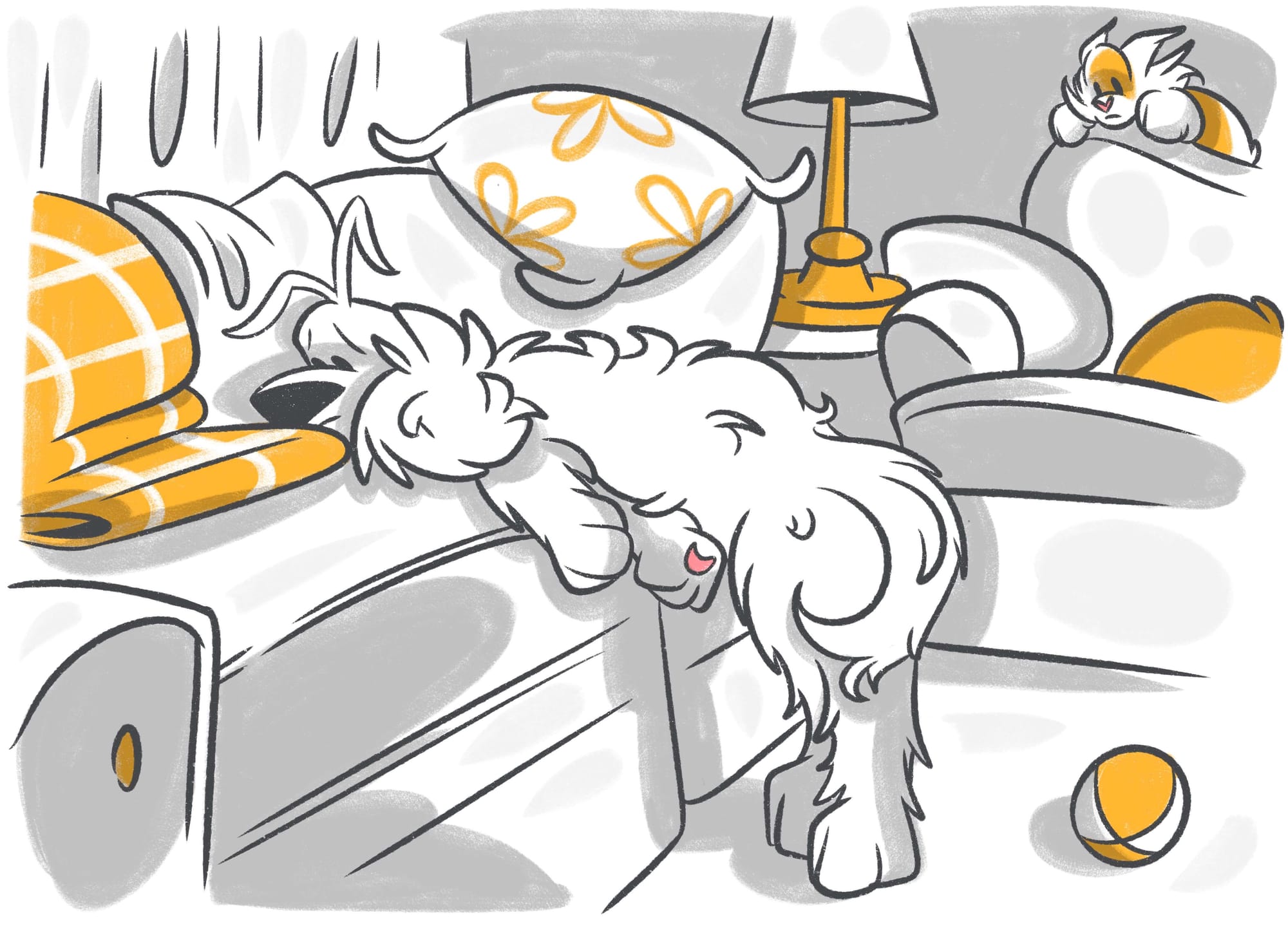 Sebaceous Cysts in Dogs: What to Expect and How to Handle