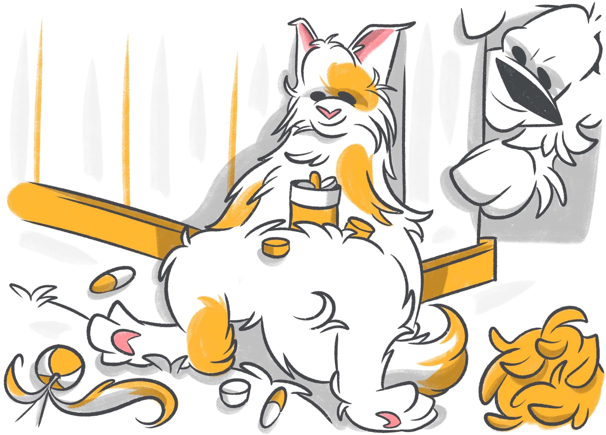 How To Treat Tapeworms In Cats At Home?