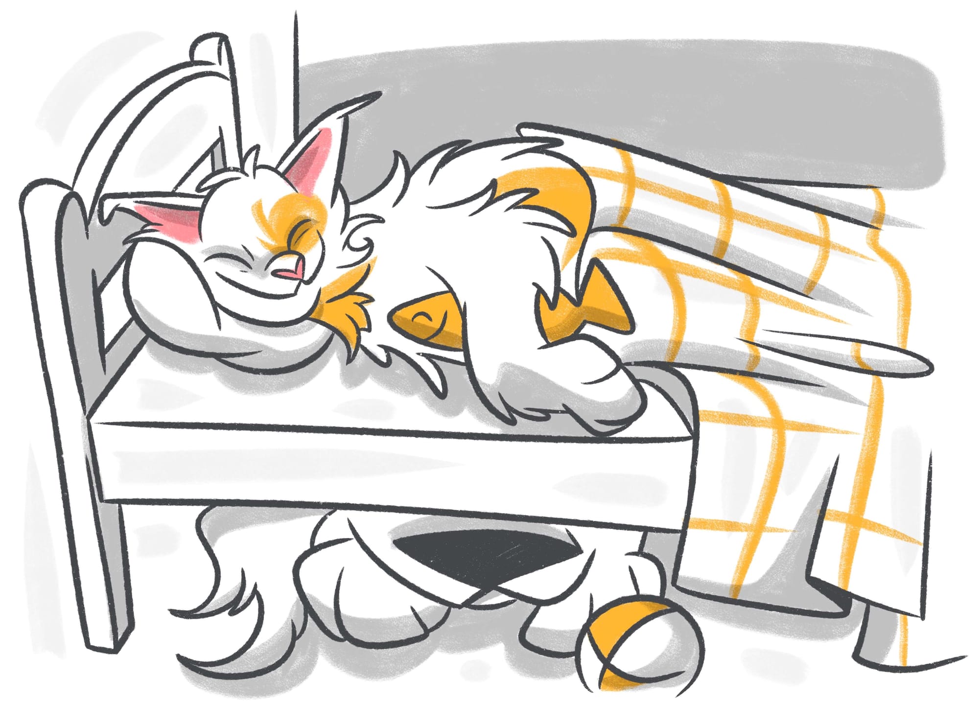 Where Your Cat Sleeps on Your Bed and What It Means?