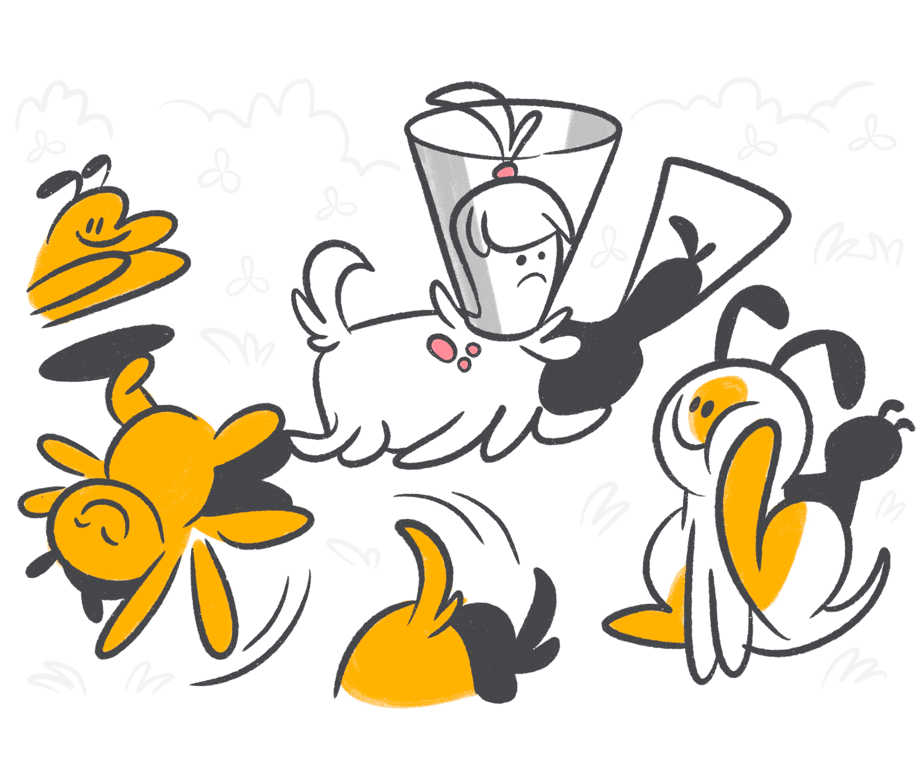 Caring for a Dog with Eczema