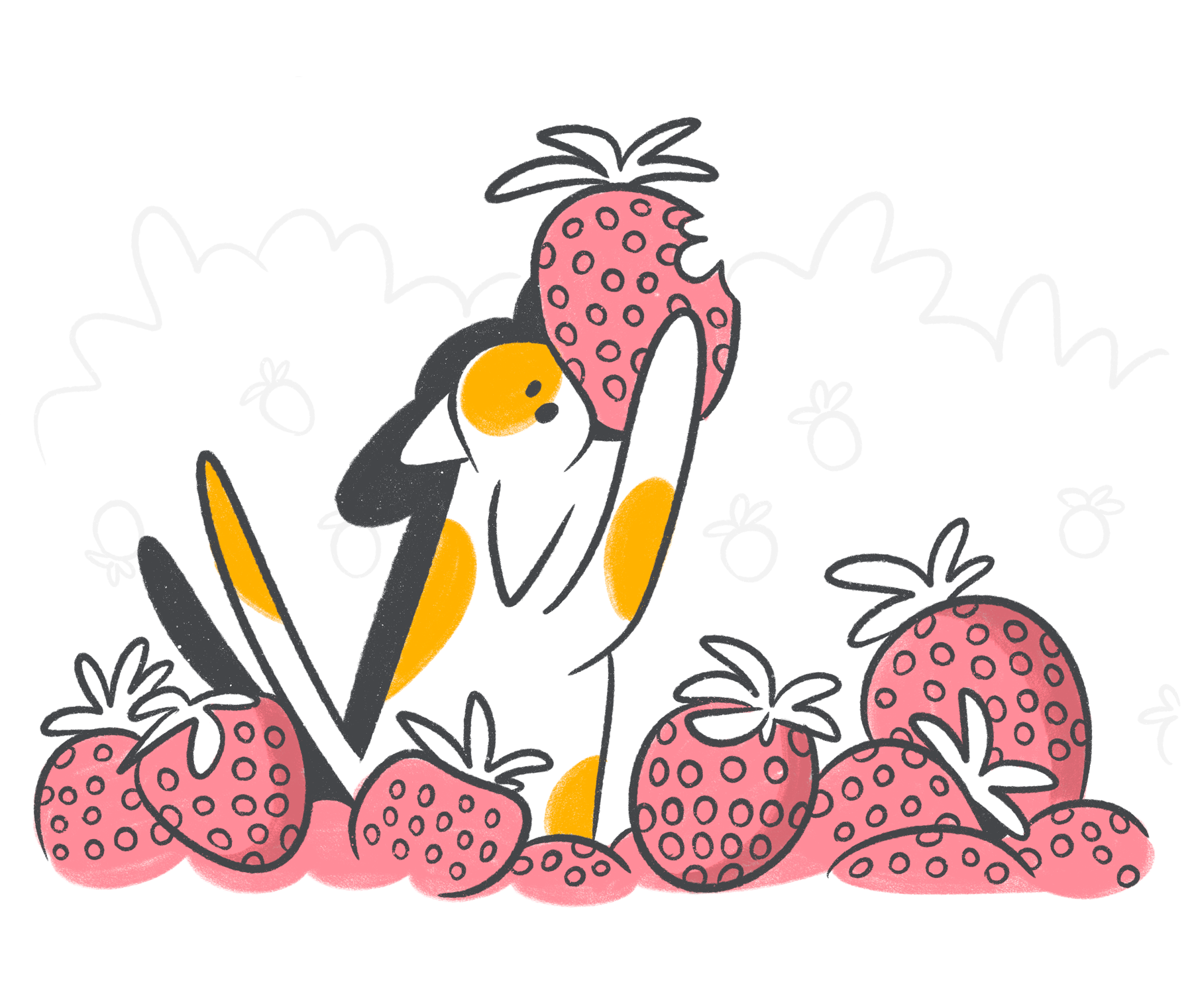 Can I Give My Cat Strawberries?