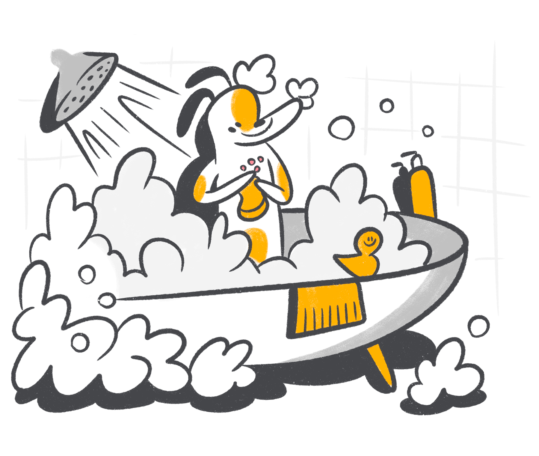 Ichthyosis in Dogs: Key Facts