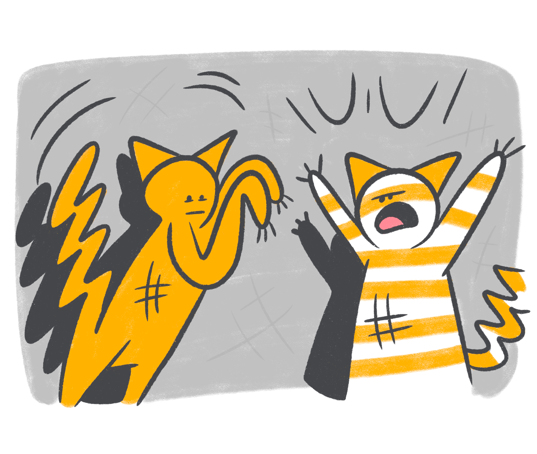 Why Do Cats Scratch?