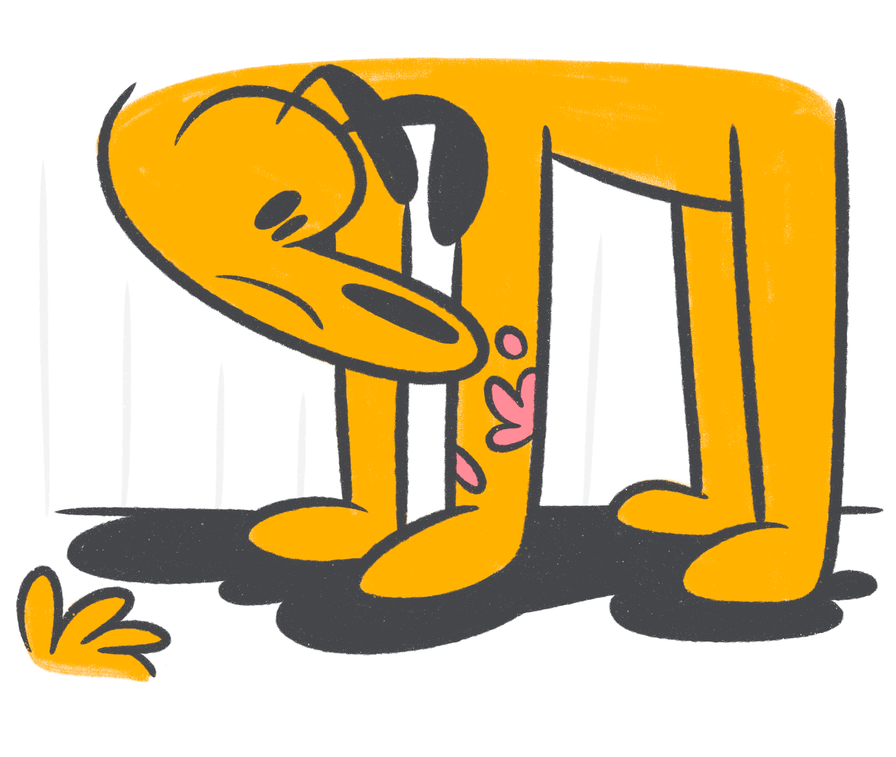 Guide to Skin Ulcers in Dogs