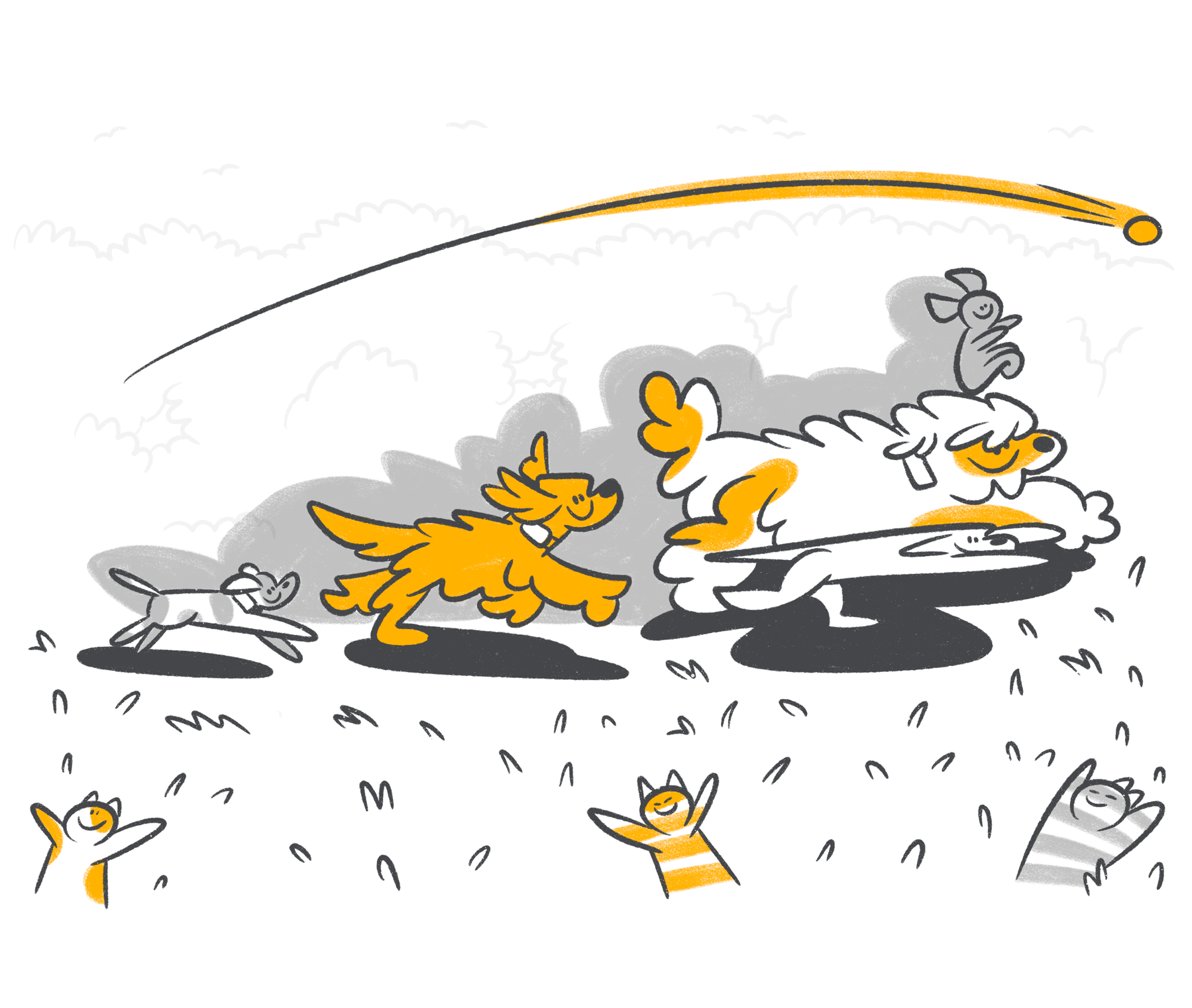 Top 5 Running Dog Breeds for Long Runs