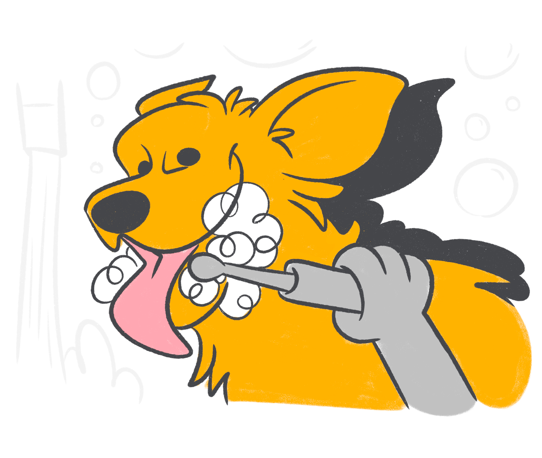 Does Pet Insurance Cover Dental?