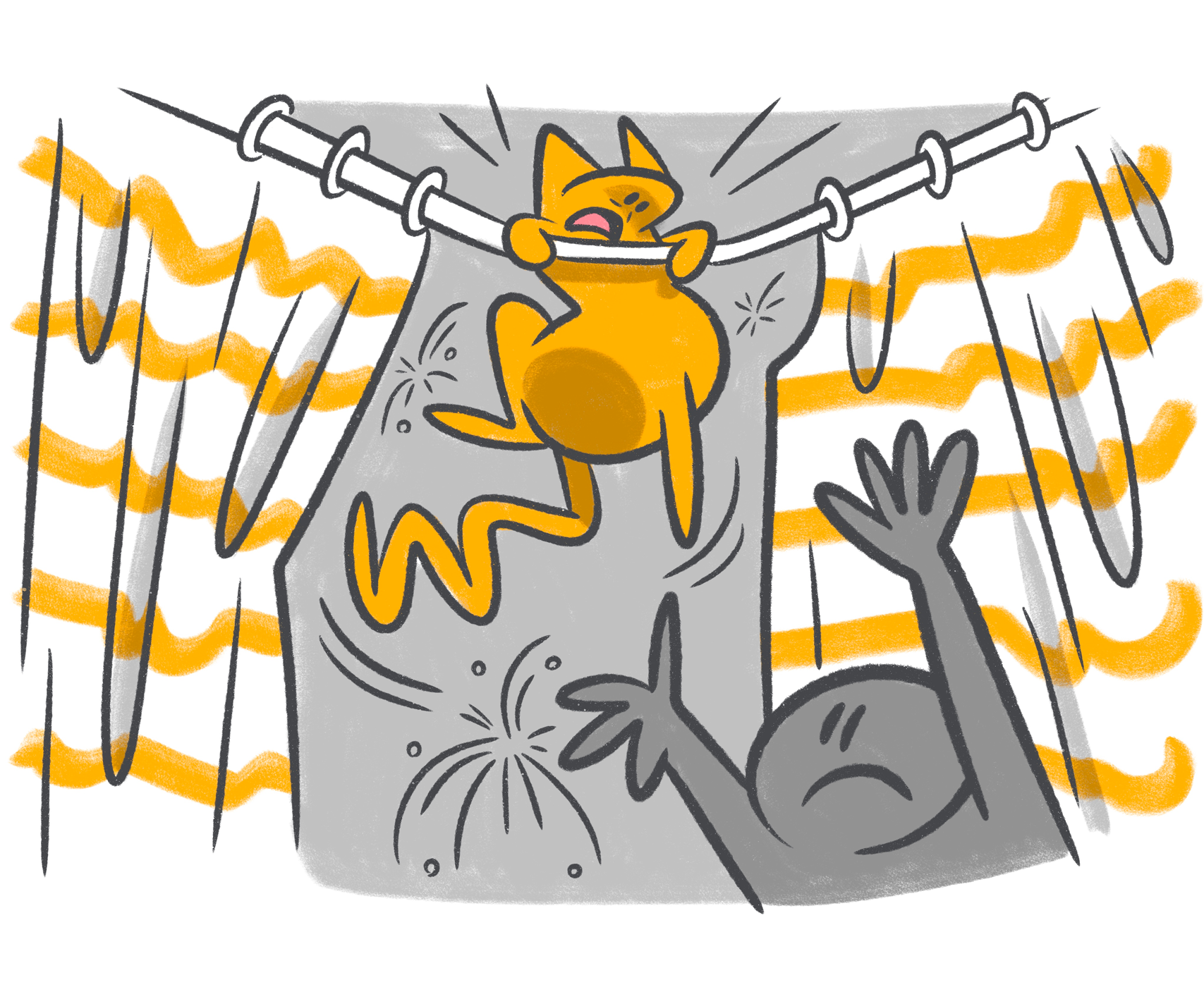 Can Cats See in the Dark?