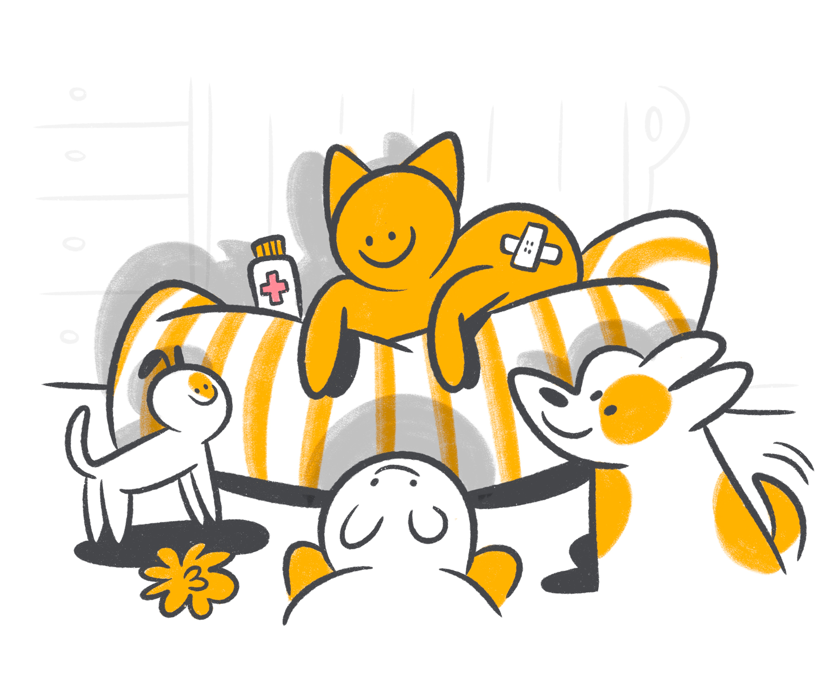 Helping Cats with Cerebellar Hypoplasia