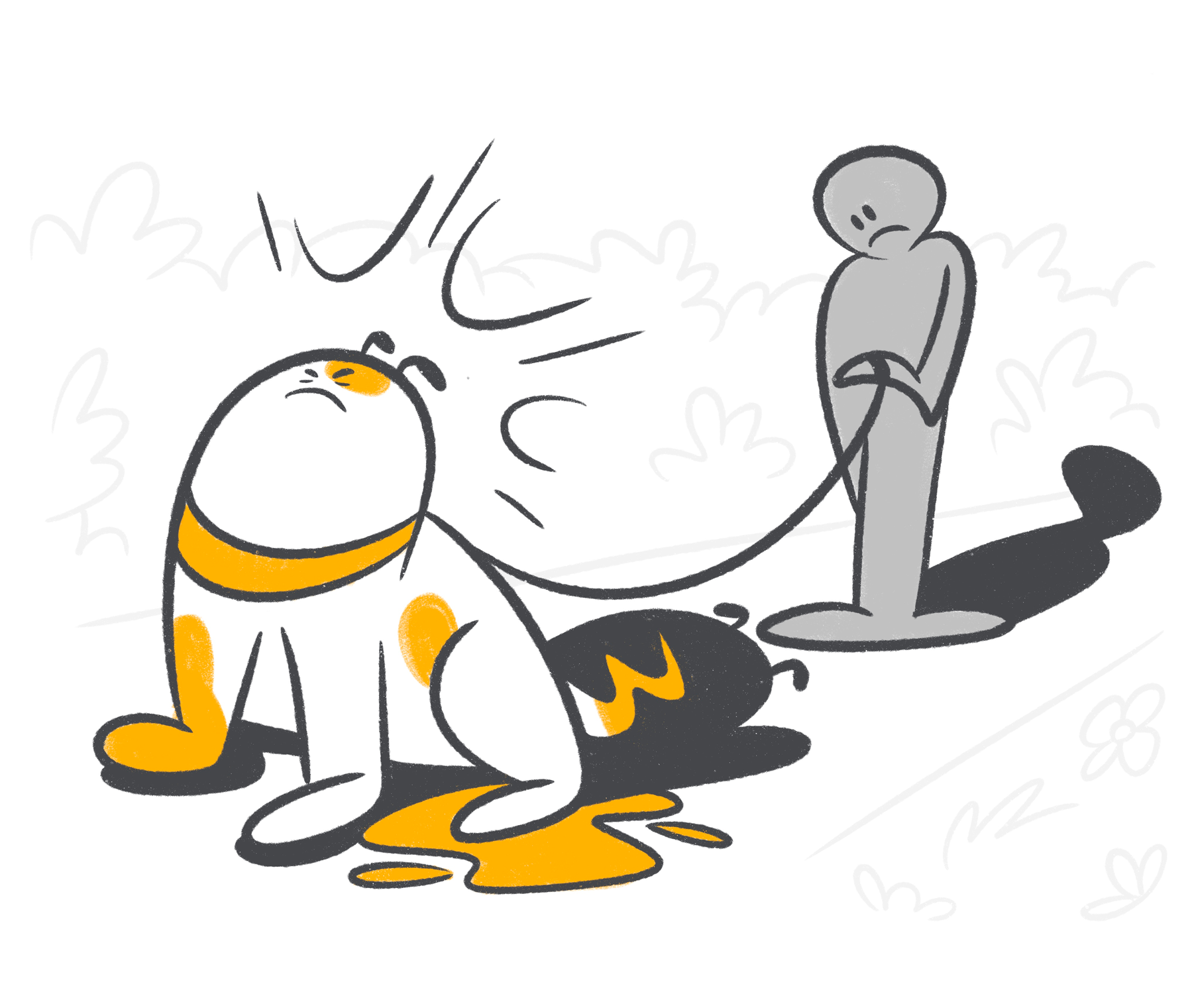 How to Spot and Treat Bladder Infections in Your Dog?