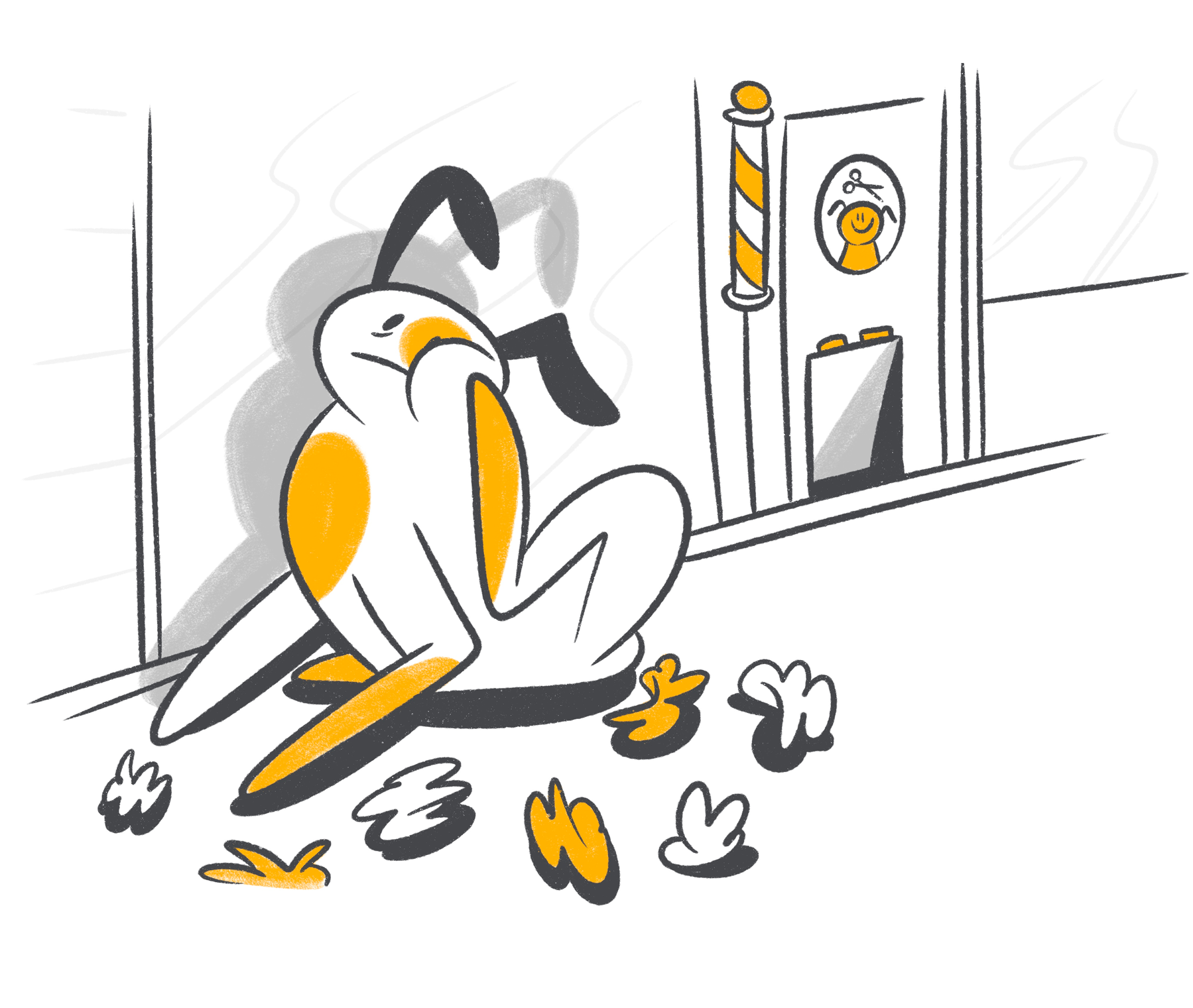 Natural and Vet-Approved Treatments for Dog Itching