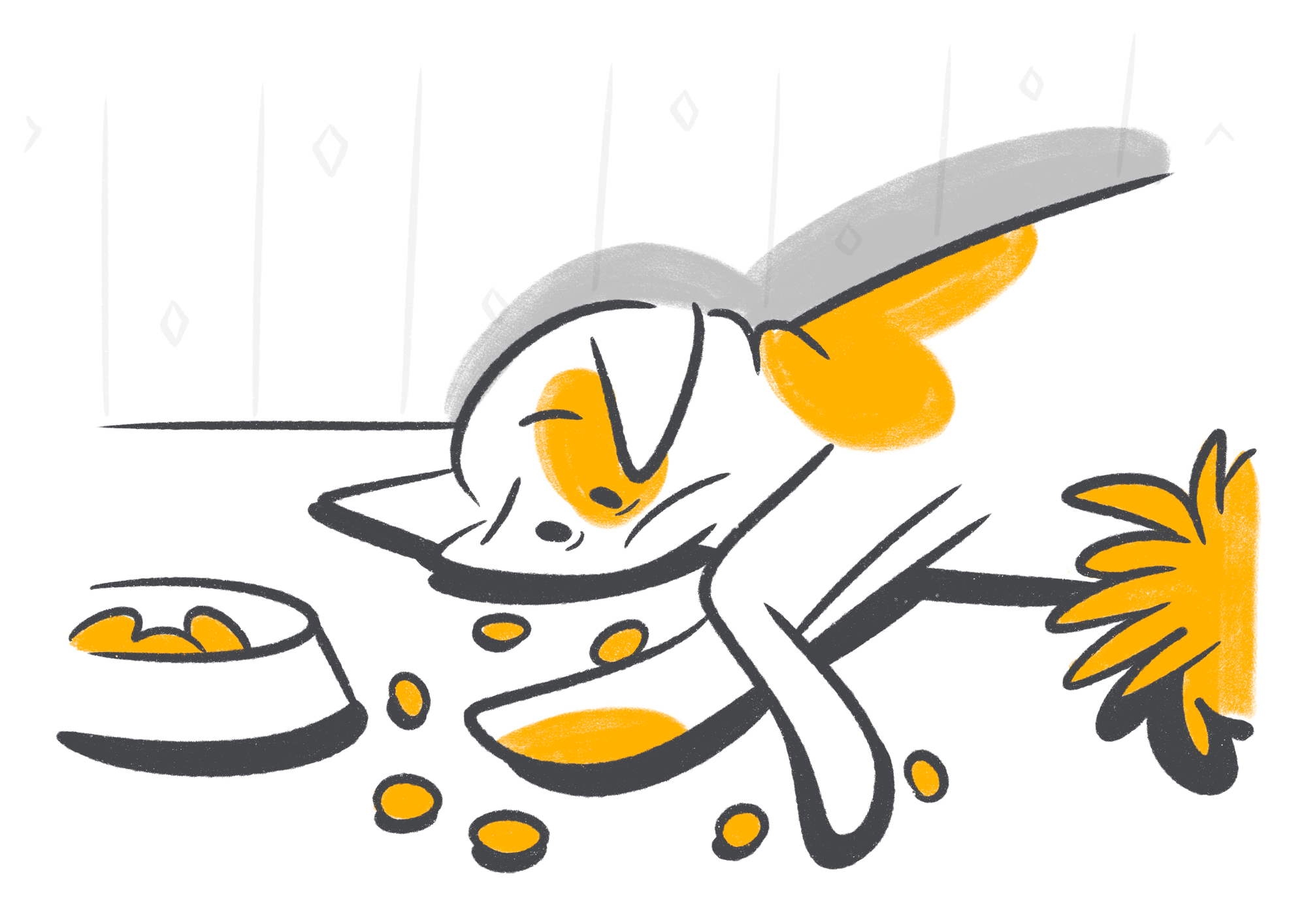 The Best Diet for a Cat with Pancreatitis