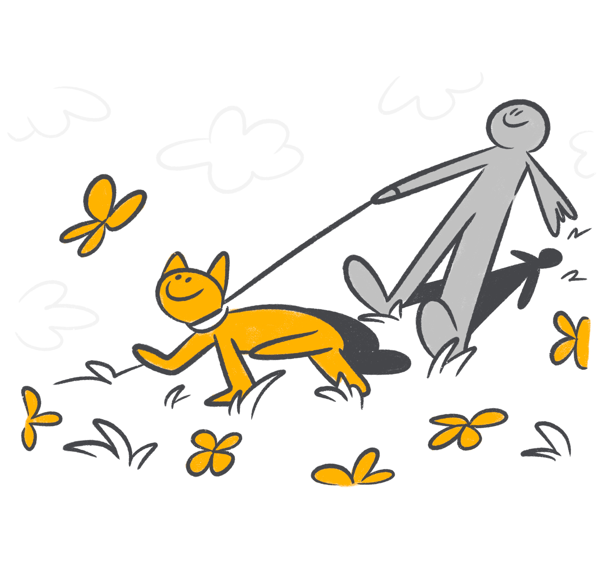 Walking Your Cat: Is It a Good Idea?