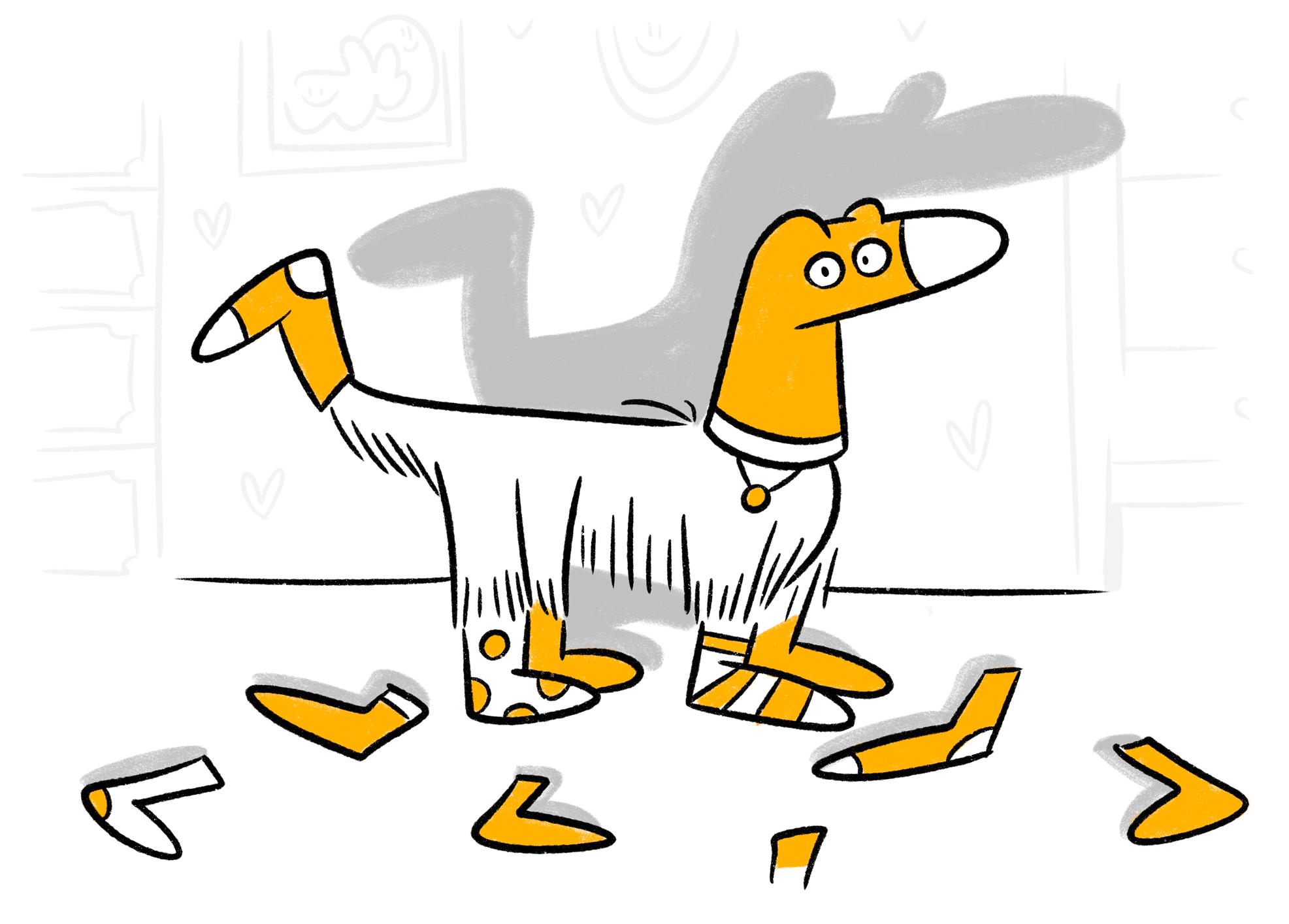 Why Do Dogs Like Socks?