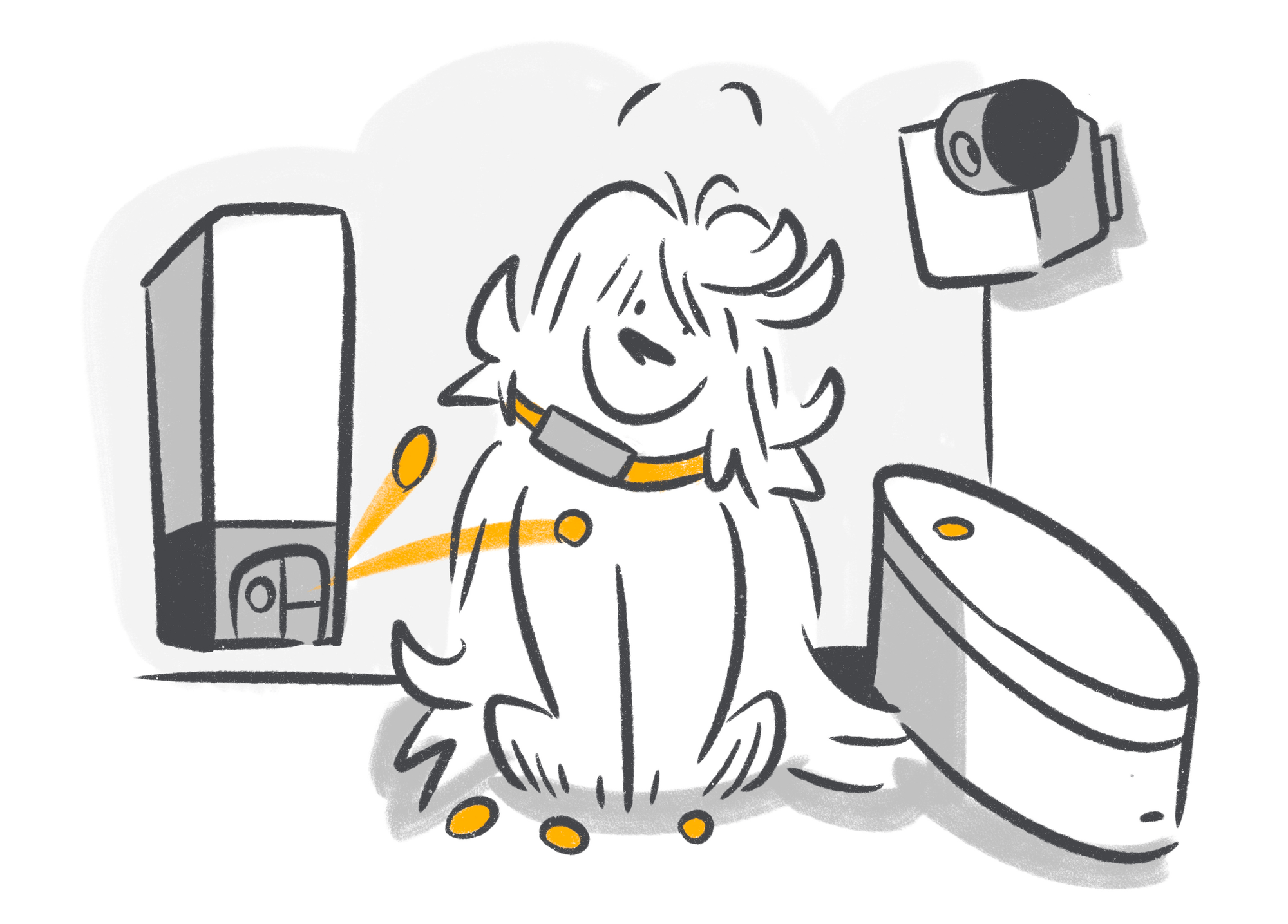 Must-Have Tech: 5 Essential Gadgets Every Dog Parent Needs