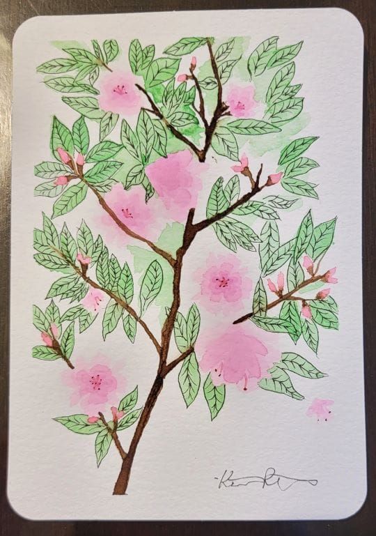Spring Watercolor - Cherry Blossoms