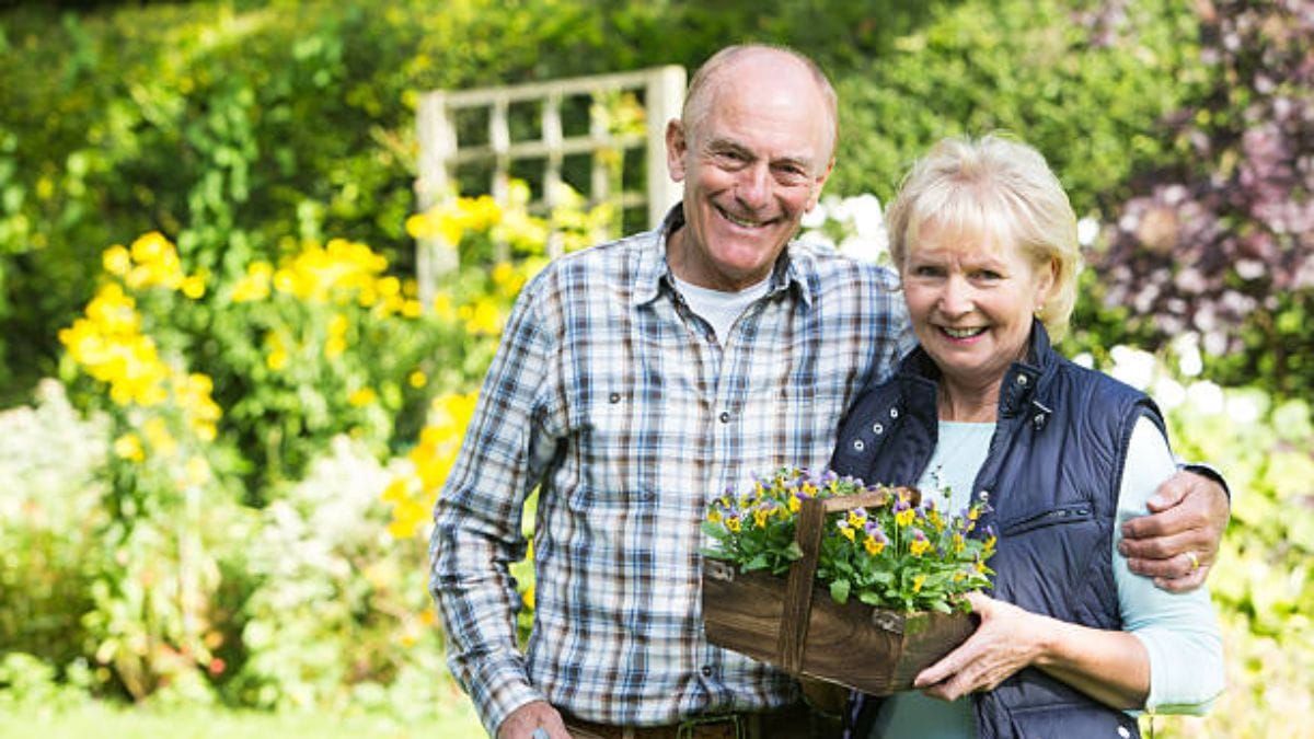 Advance care directive workshops will support ageing locals