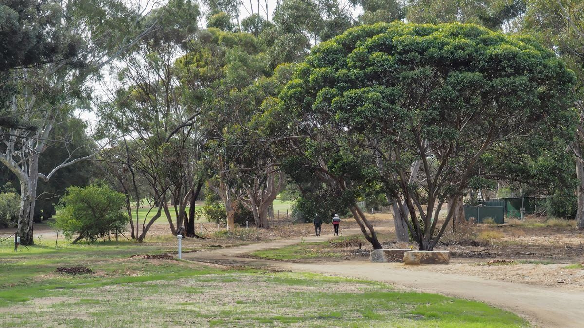 Walk of the month: A taste of the old and the new at Newbridge