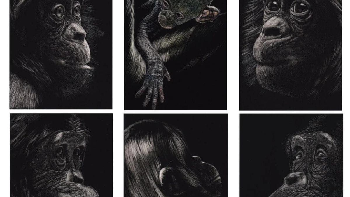 Your guide to the 2024 South Australian Living Artists Festival in the Murraylands