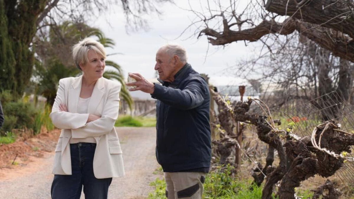 Lower Murray irrigators aren’t rushing to access water buybacks