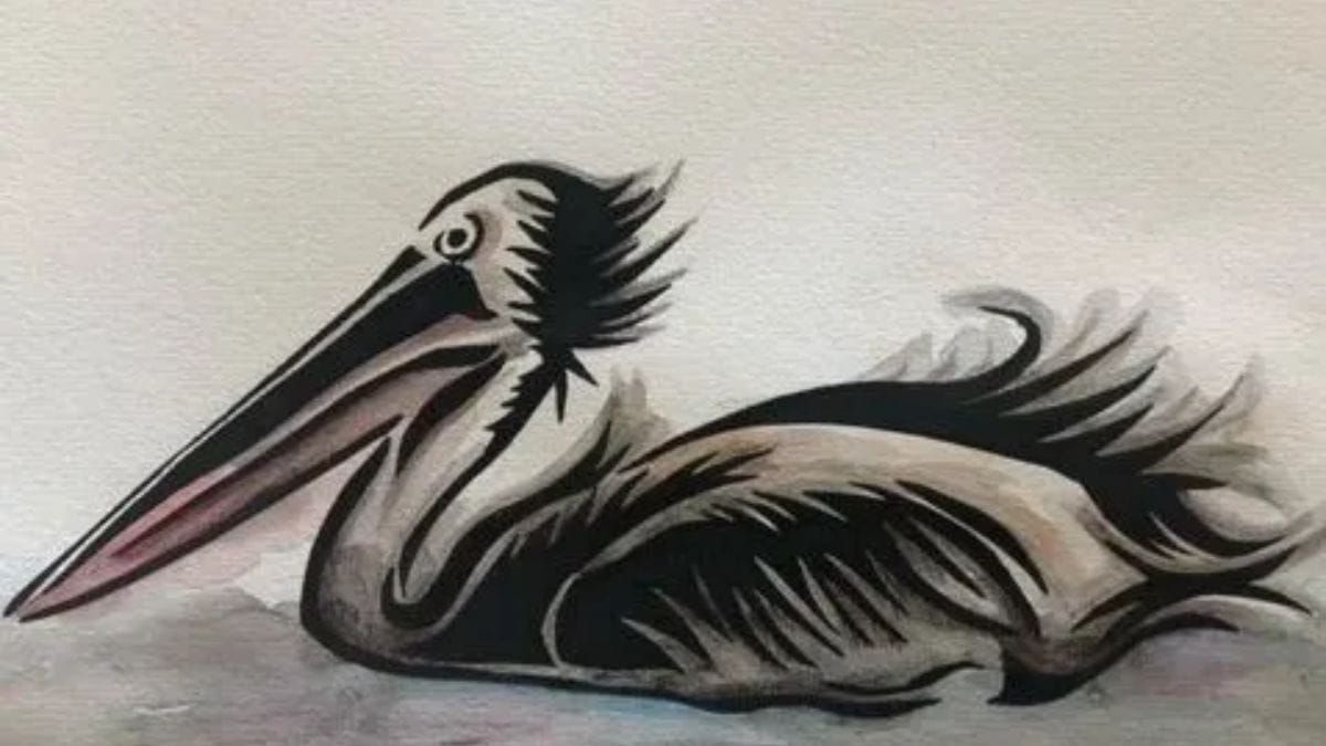 Things to do in Murray Bridge: August 2-8, 2024