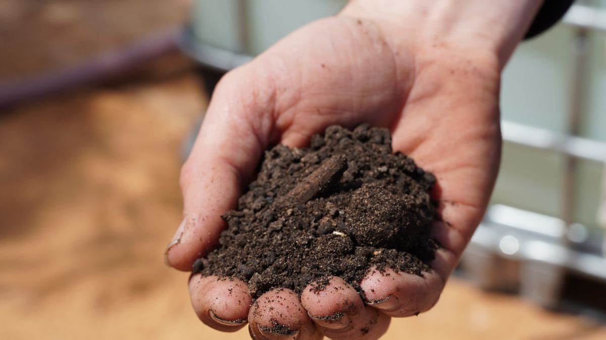 Find out the benefits of bio fertilisers