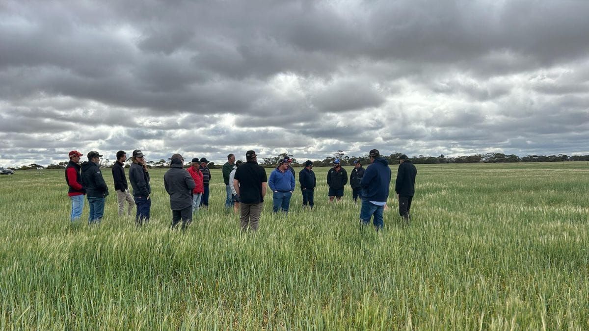 Murraylands farmers face tough season amid 2024 drought conditions