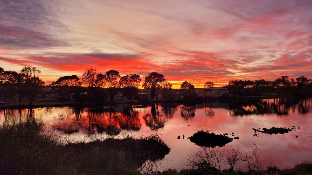 $13 billion, 30-year flop: landmark study reveals stark failure to halt Murray-Darling river decline