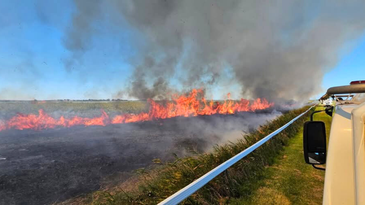 Wellington fire contained thanks to ‘exceptional’ effort by firefighters
