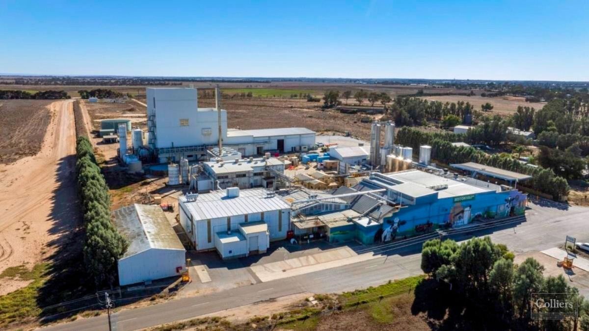 Jervois dairy factory put up for sale