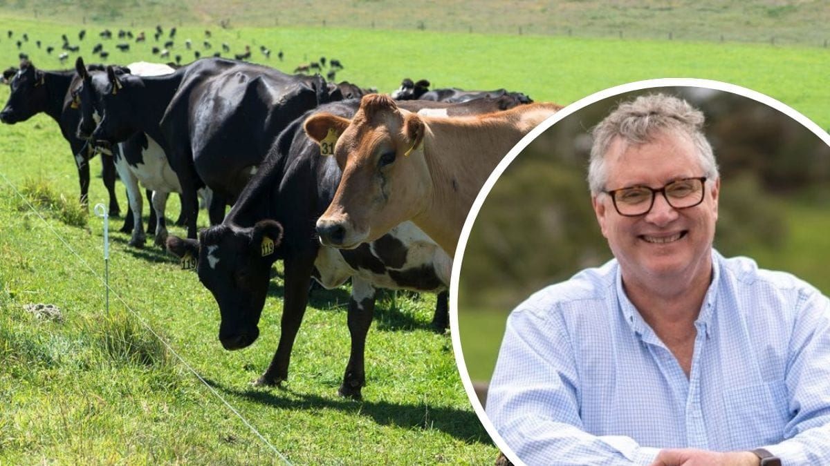 Dairy farmers impacted by Beston closure will share $3m worth of support