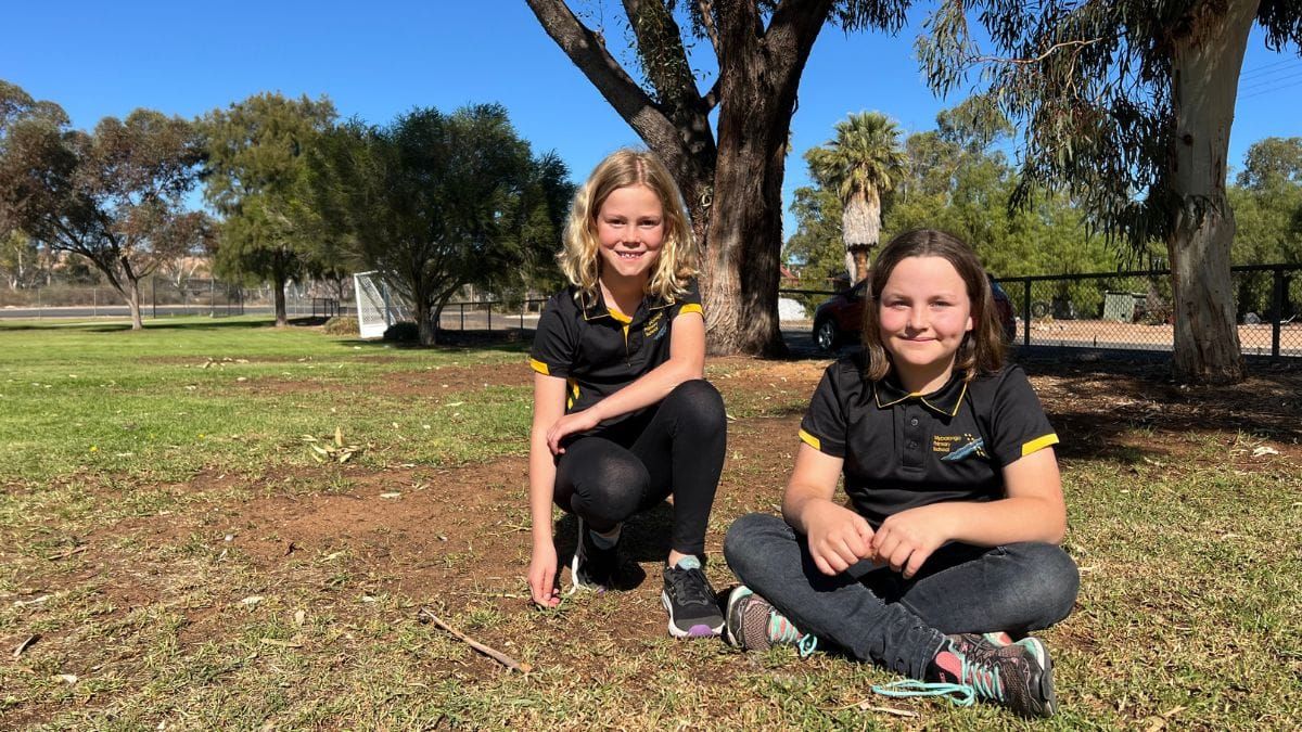 Community grant will help Mypolonga Primary School get their swings back