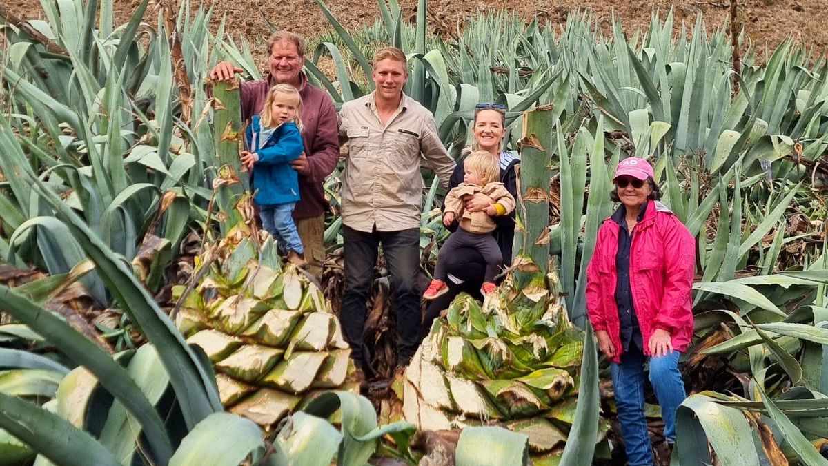 Bremer Valley agave distillers claim a South Australian first