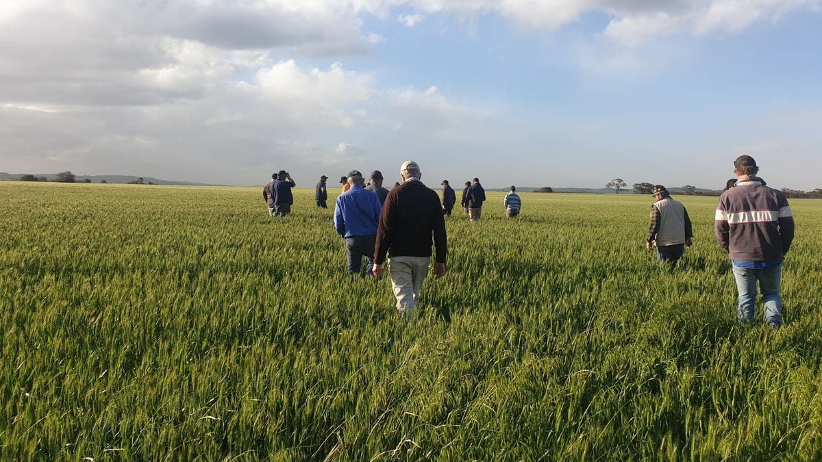 Funding open for sustainable ag projects across the region