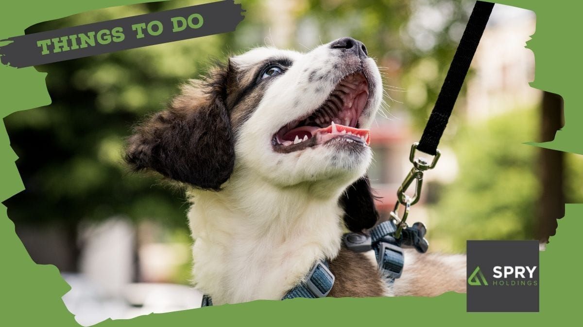 Things to do in Murray Bridge: June 27-July 3, 2025