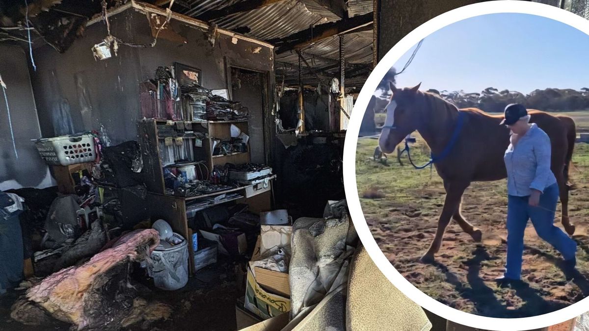 Fundraising appeal launched after $300k fire at Monarto equine therapy centre
